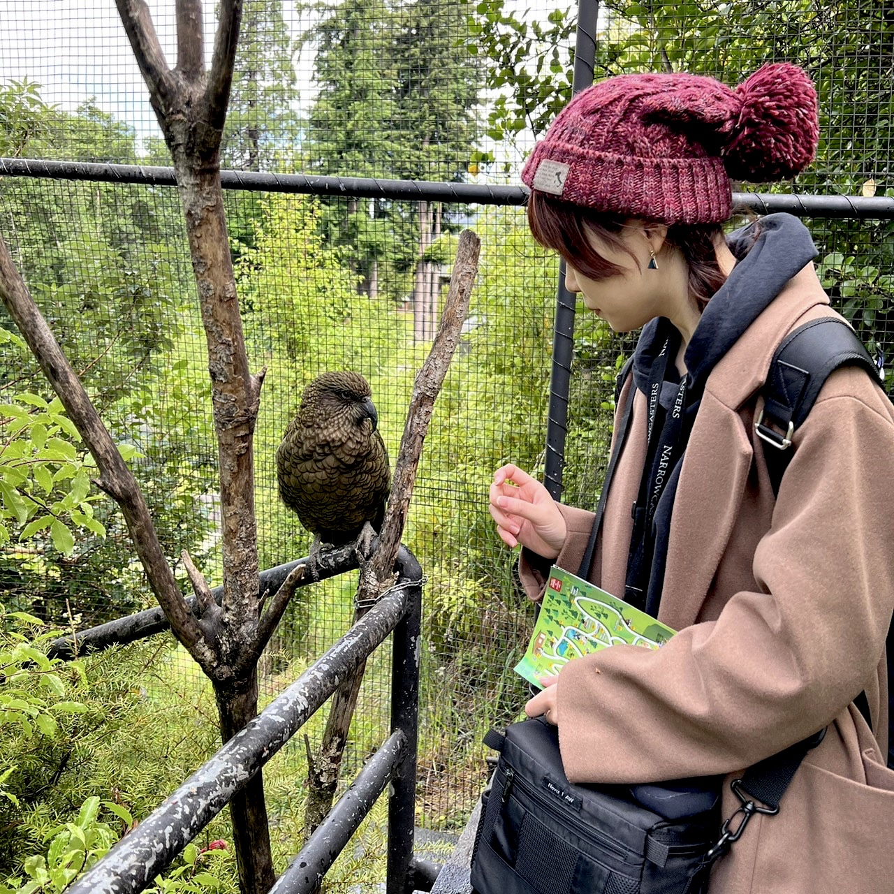 Portrait of Mayuka Kuwana